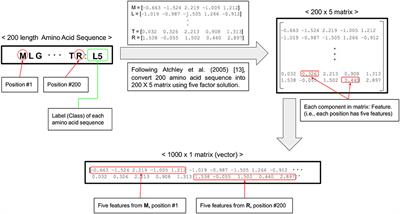 Applications of Machine Learning for the Classification of Porcine Reproductive and Respiratory Syndrome Virus Sublineages Using Amino Acid Scores of ORF5 Gene